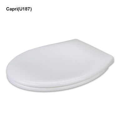 Siège de toilette amovible pour un nettoyage facile