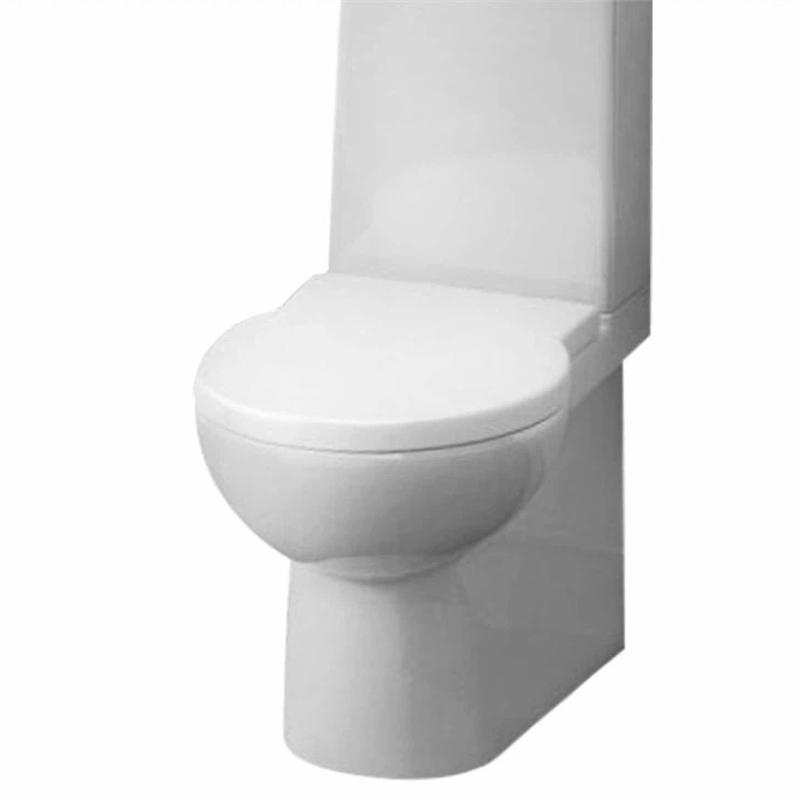 Starck 1 Toilet Seat