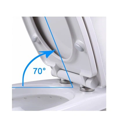 Charnières de toilette en plastique