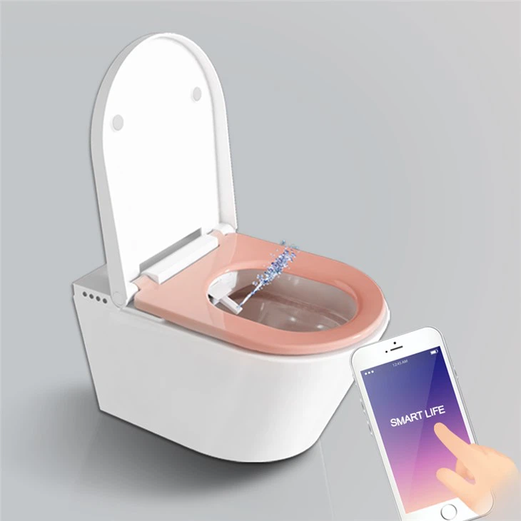 Système de bidet de toilette intelligent