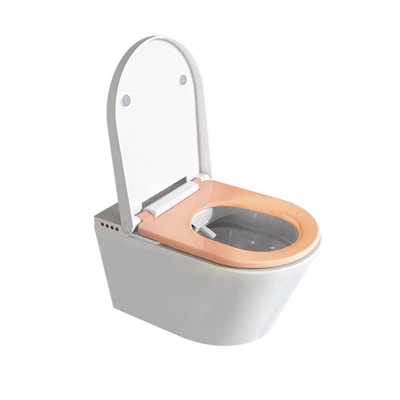 Toilette bidet avec eau chaude et sèche-linge